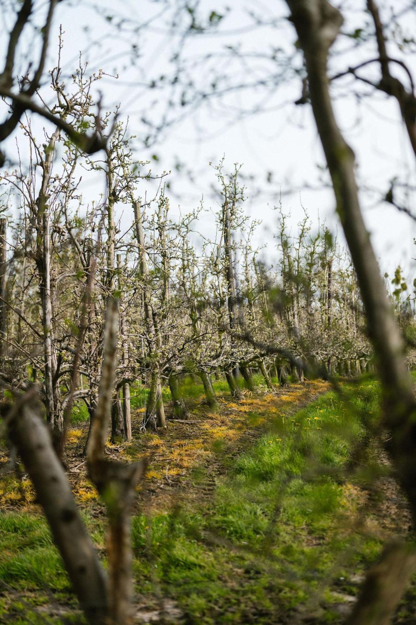 Hoeve De Reetjens - La Porcherie ビルゼン エクステリア 写真